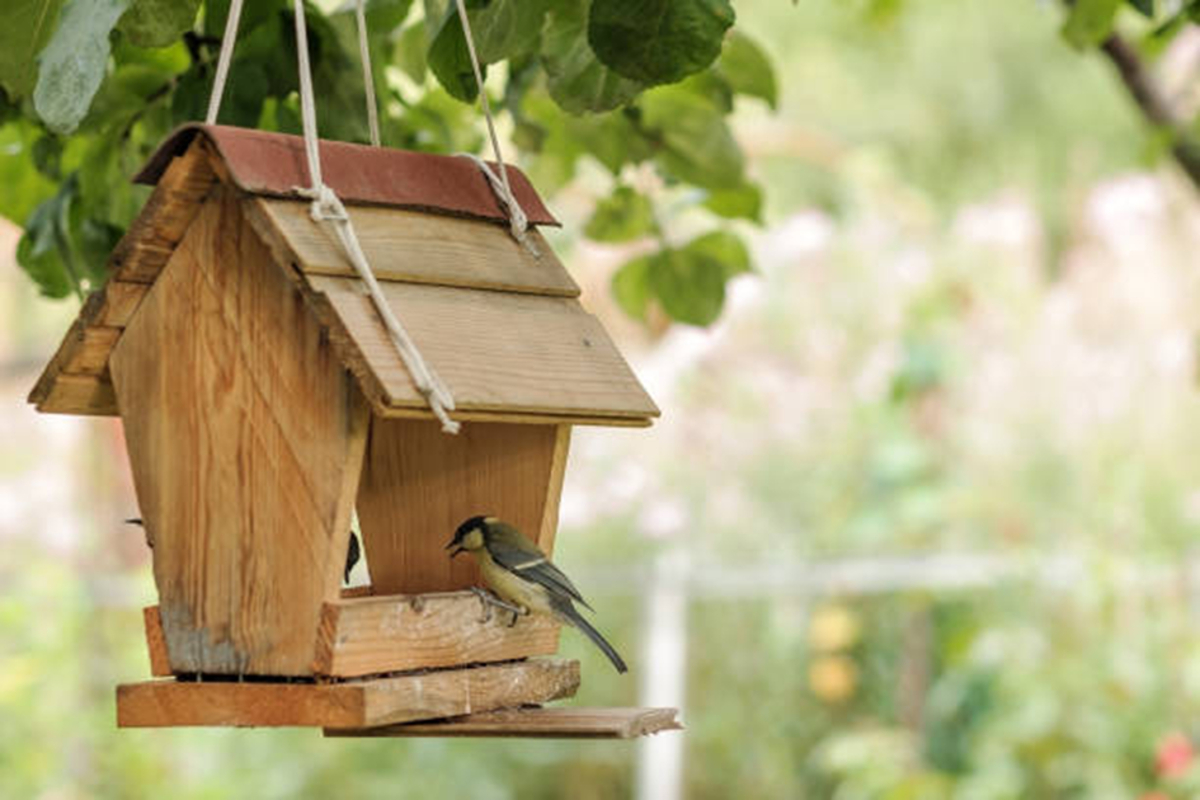 aménagement de jardin